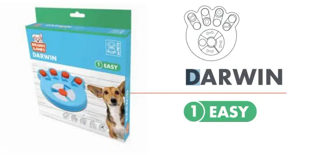 Darwin Juegos Mentales 14X13X3 Cm Facil