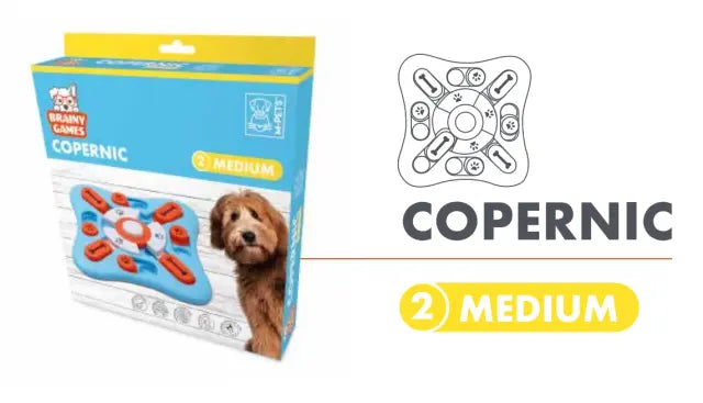 Copernic Juegos Mentales 25X25X3Cm Medio