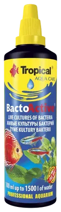 Bacto Active 100Ml