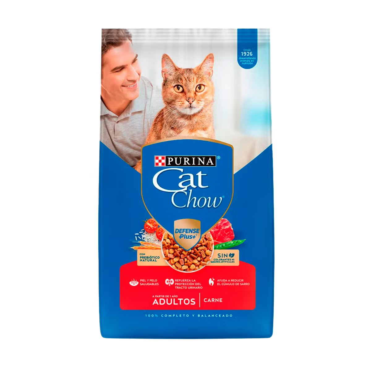 Cat Chow Adulto Carne