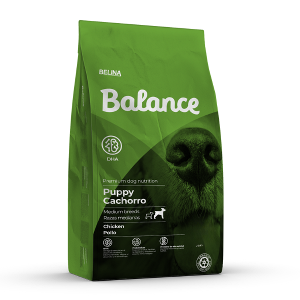 Balance Cachorro Raza Mediana