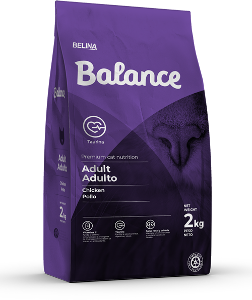 Balance Gato Pollo