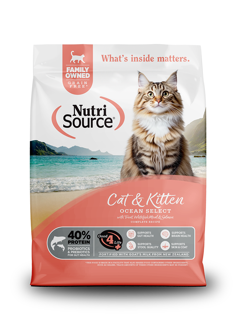 NutriSource Gato Ocean Select