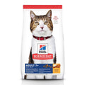 Hills Feline Senior