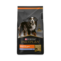 Pro Plan Puppy Sensitive Skin Cordero