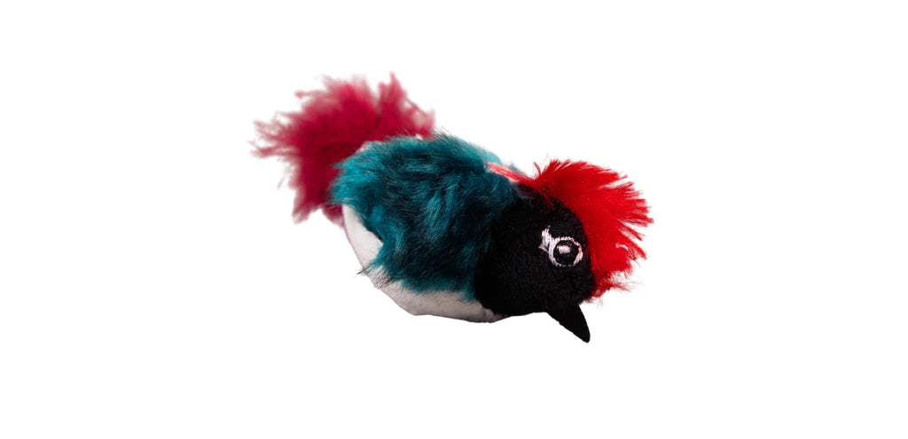 Pajaro con Catnip