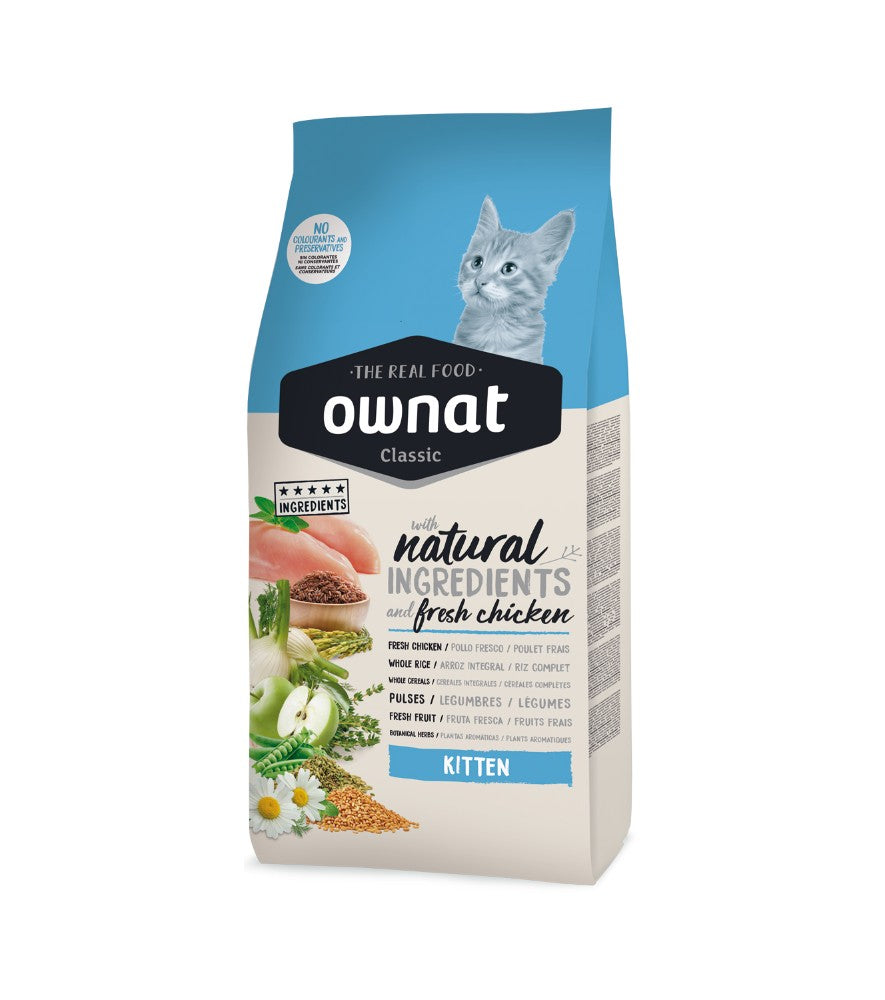 Ownat Felino Kitten