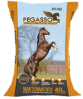 Pegasso Mantenimiento