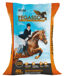 Pegasso Alto Rendimiento Aceitado