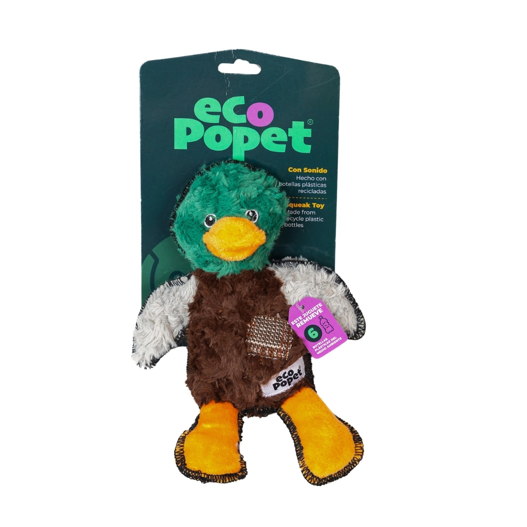 Eco Pato